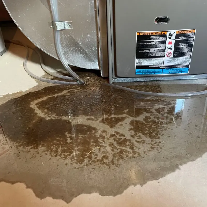Pipe Burst and Leak Restoration in Grottoes, VA