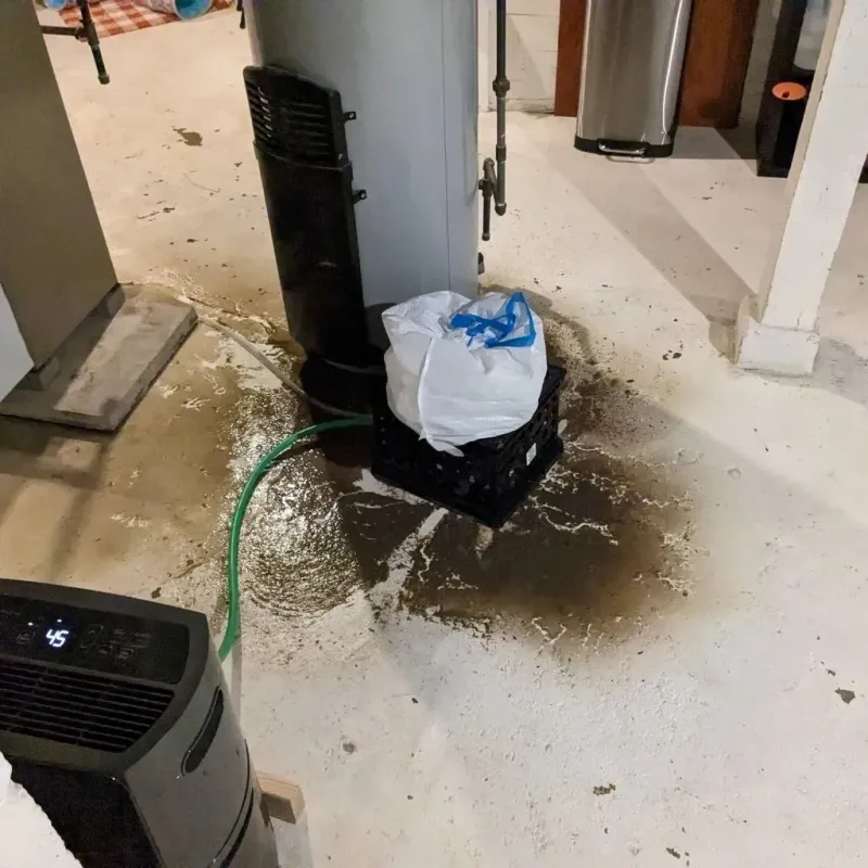 Sewage Backup Cleanup Service in Grottoes, VA